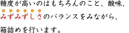 ���x�������A�_���A�݂��݂������̃o�����X���݂Ȃ���A���l�߂��s���Ă��܂��B