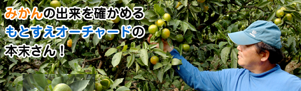 �咷�݂��񐶎Y�҂̂��Ƃ����I�[�`���[�h�F�{���@������